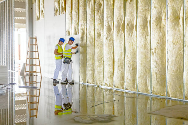 Best Commercial Insulation in Pleasant Hill, OH